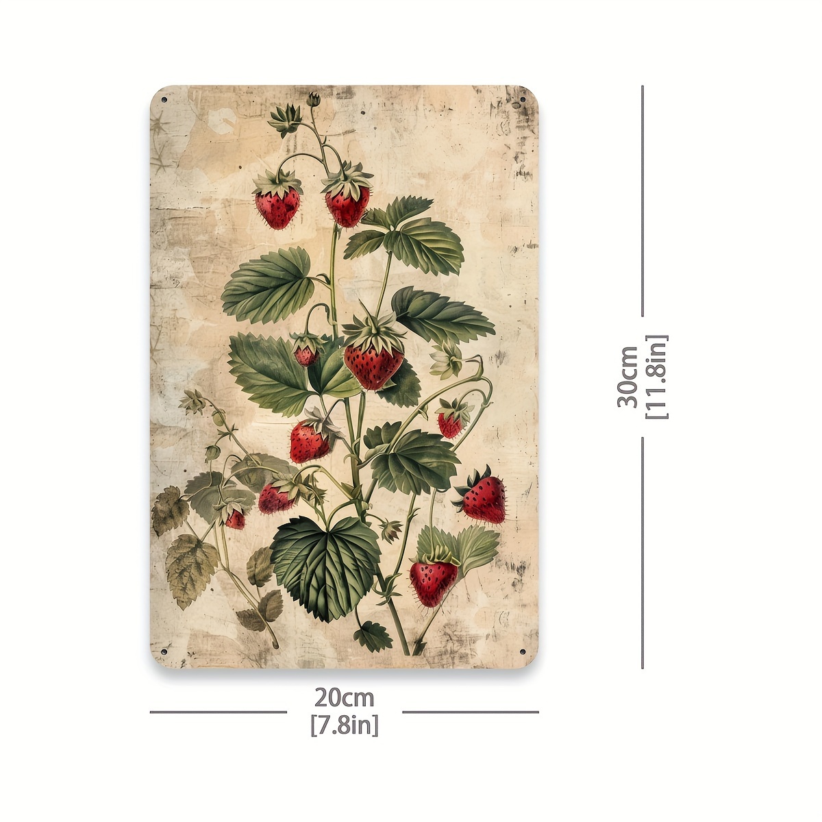 1 pezzo, targa in metallo con  - Vintage Collectible Tins recensione e prezzo